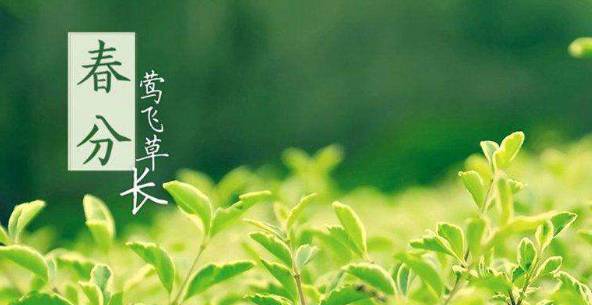 江蘇省寧海商標事務(wù)所有限公司